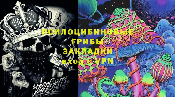 дмт Балахна