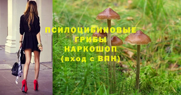 дмт Балахна